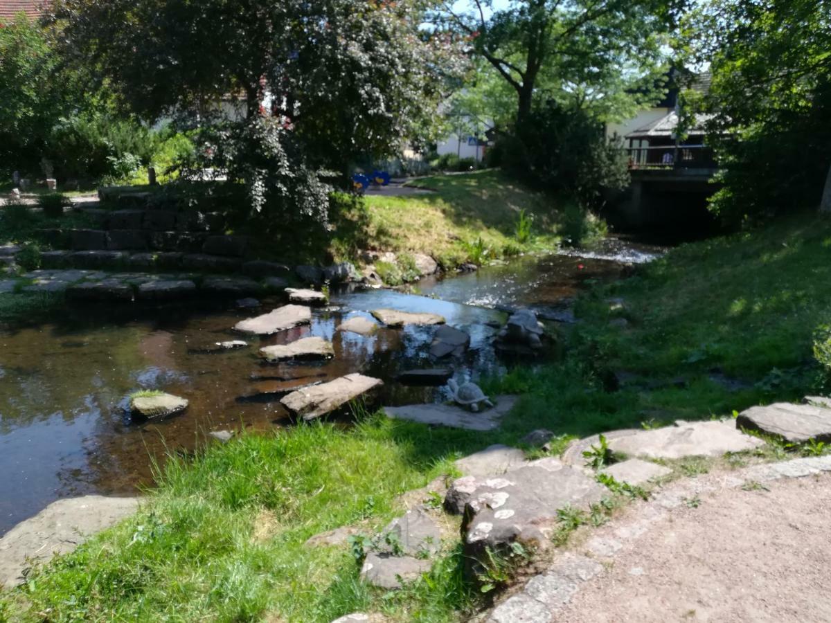 Am Sommerberg Unterkirnach Bagian luar foto